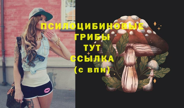 2c-b Белокуриха