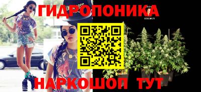 шишки Ставрополь