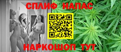 шишки Ставрополь