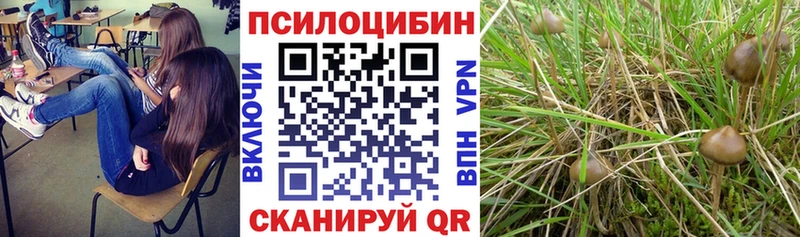Галлюциногенные грибы мицелий  купить наркоту  Спасск-Дальний 