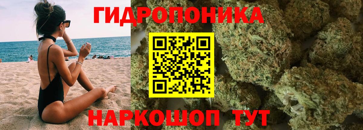 Марихуана план  Каннабис OG Kush  Спасск-Дальний  Вход с VPN  Канабис гибрид 